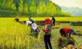 描写秋天的田野里的句子 描写秋天的田野里的句子集锦