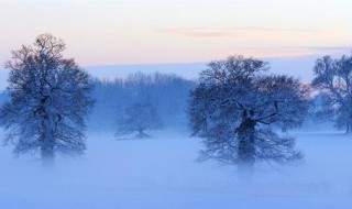 10句冬天的优美句子 描写冬天的十句优美句子