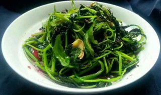 苋菜怎么吃 蒜味绿苋菜怎么做