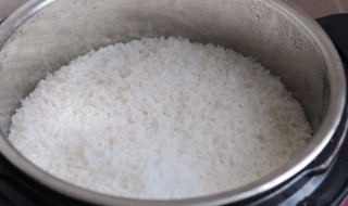 蒸锅怎么蒸米饭 蒸米饭水和米的比例