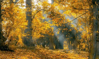 安慰朋友的话简短 安慰人的句子简短语录