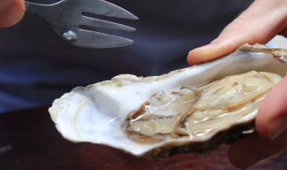 怎么处理生蚝 处理生蚝方法