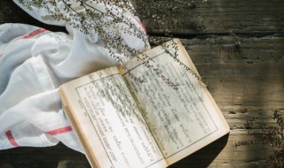 渐行渐远渐无书的意思 渐行渐远渐无书的意思解析