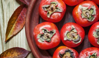 软柿子怎么保存 软柿子保存方法是什么