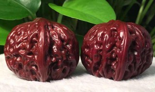 新文玩核桃怎么保存 新文玩核桃的保存方法