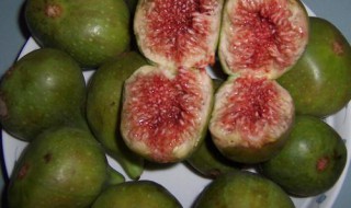 新鲜的无花果怎么保存 新鲜的无花果保存的方法