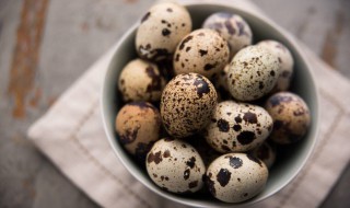 新鲜鹌鹑蛋怎么保存 新鲜鹌鹑蛋保存方法介绍