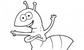 彻底消灭蚂蚁的方法 彻底消灭蚂蚁的方法分享