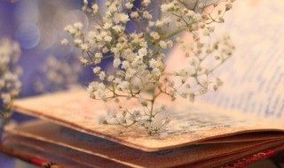 双桂联芳的意思 双桂联芳的释义