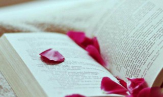 乌鸦反哺的意思是什么 乌鸦反哺简单介绍