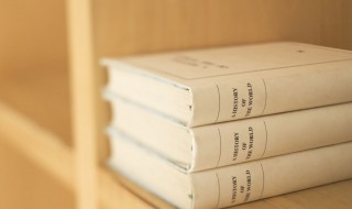 登鹳雀楼的登是什么意思 登鹳雀楼的登解释