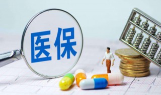 老年人医保网上怎么交 网上怎么交老年人医保