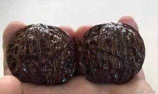 核桃怎么玩 文玩核桃怎么盘