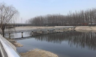 治理黑臭水体怎么处理 治理黑臭水体处理办法