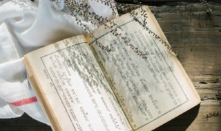 馊先生寡大夫的意思 馊先生寡大夫的意思简述