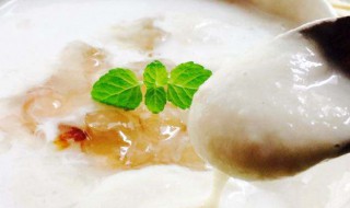 椰浆怎么保存 椰浆保存方法