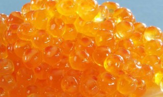 鱼籽怎么保存 存放鱼籽的方法