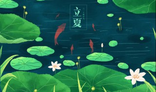 关于夏天的好句子 关于夏天的优美句子