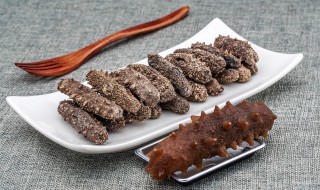 干海参怎么做好吃又简单 干海参怎么泡发和烹饪