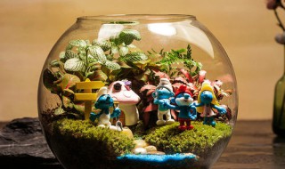 什么是生态瓶 生态瓶的解释