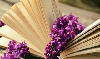 初三好句子摘抄 初三最新句子