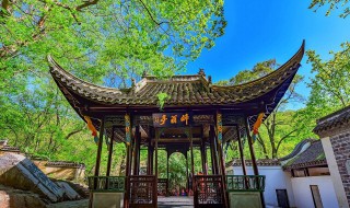 望之蔚然而深秀者琅琊也翻译 望之蔚然而深秀者琅琊也原文欣赏