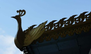 关于凤凰的美好句子 描写凤凰的优美句子