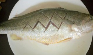 黄鱼清理方法 黄鱼清理方法是什么
