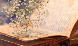 关于挫折的句子 关于挫折的句子合集