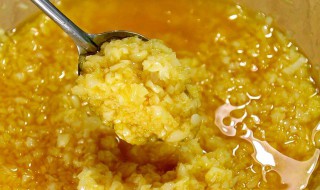 黄金蒜蓉酱怎么做 黄金蒜蓉酱做法步骤