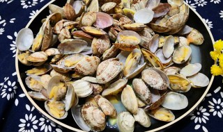 怎么做清蒸花蛤 清蒸花蛤的做法