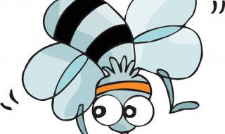 寝室灭蚊方法 寝室灭蚊方法介绍