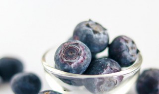 买的新鲜蓝莓怎么保存 存放蓝莓的步骤