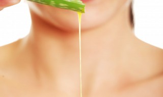 芦荟汁怎么提取并保存 芦荟汁的保存方法