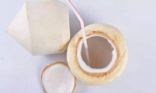 新鲜椰子肉怎么保存 新鲜椰子肉如何保存