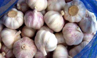 新鲜大蒜怎么保存 大蒜的保存方法