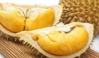 榴莲的寓意是什么 榴莲有什么寓意