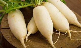 萝卜如何做才补气 萝卜如何做萝卜才补气介绍