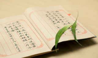 苍蝇不叮无缝的蛋是什么意思 苍蝇不叮无缝的蛋表示什么意思