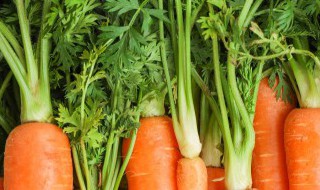 红萝卜腊肠饭如何做 红萝卜腊肠饭的做法