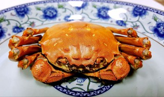 制作大闸蟹的方法 大闸蟹制作方法介绍