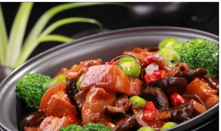 小蘑菇烧肉方法 蘑菇烧肉做法介绍