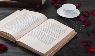 qq昵称女简单 qq网名女生简单优雅气质网名