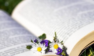 女生网名英文简单唯美 女生简单唯美的英文欧美网名