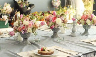 餐桌上适合放什么植物 餐桌上适合放的植物有哪些