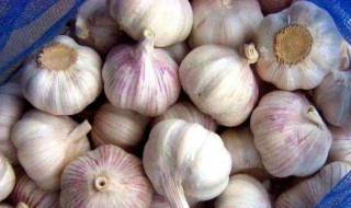 大蒜头怎么保存 大蒜头保存久的方法
