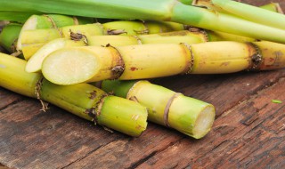 蔗糖为啥没有还原性 蔗糖没有还原性的原因