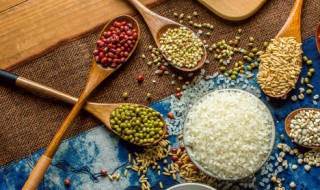 绿豆芽生长有阳光和没阳光 关于绿豆芽生长有阳光和没阳光