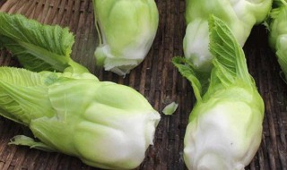 儿菜与什么不能一起吃 儿菜与什么食物不能一起吃