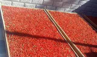 晾晒枸杞前要不要清洗 晾晒枸杞前要清洗吗